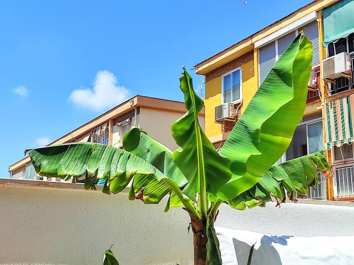 Manuela Nogales Apartments! Malaga Exterior photo